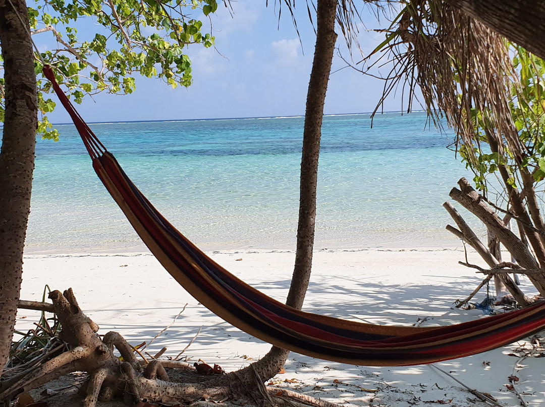 Horsburgh Island Guest House主图