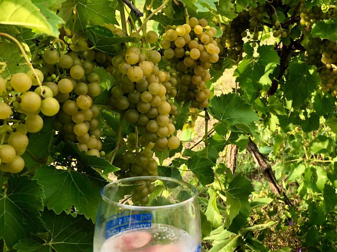 Virtue Cider & Farm景点图片