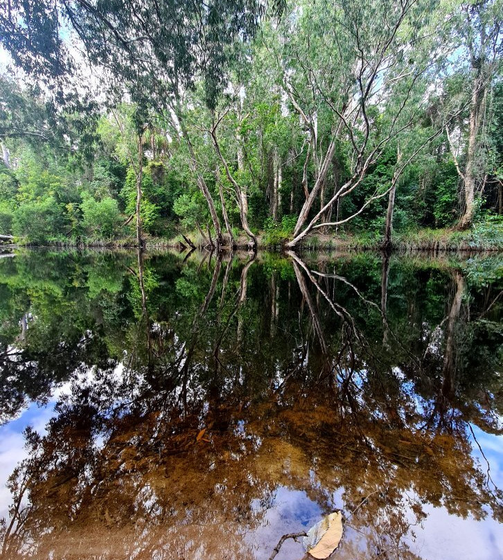 Waterpark Creek-Byfield必去景点