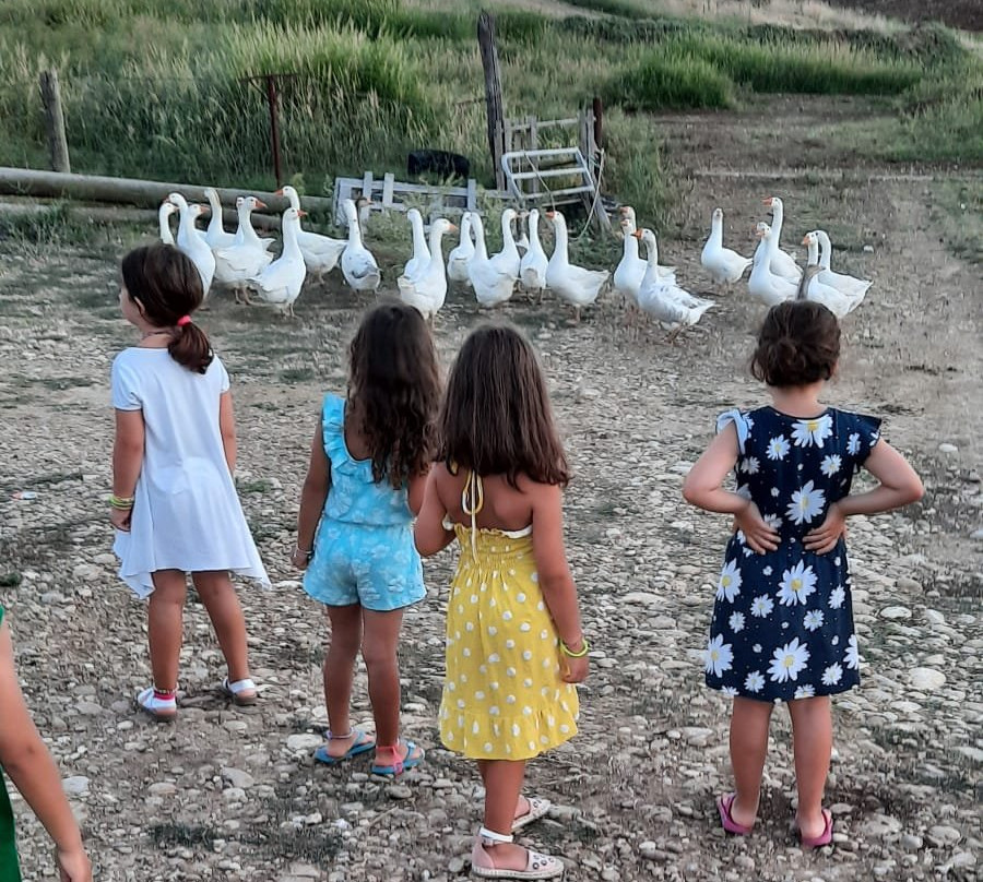Agriturismo Carpe Diem主图