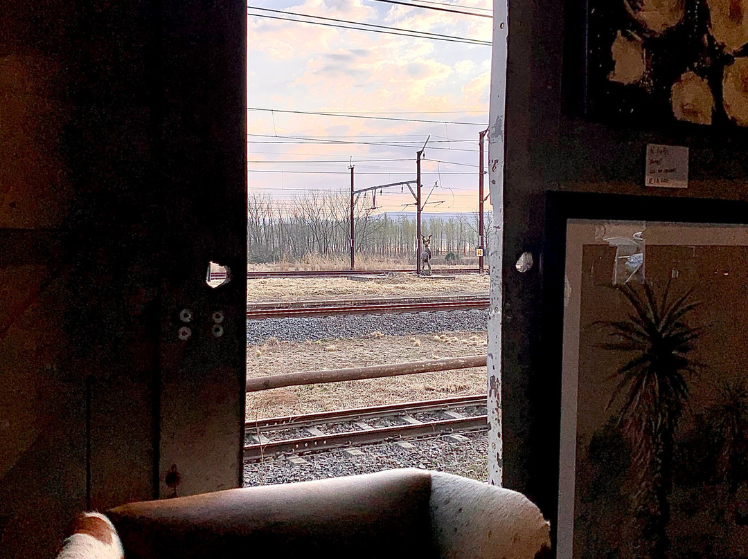 The Platform-豪威克必去景点