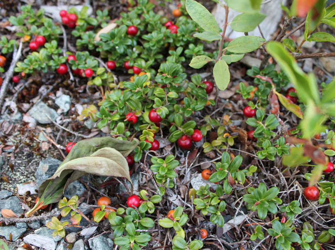 Freshwater Inn主图