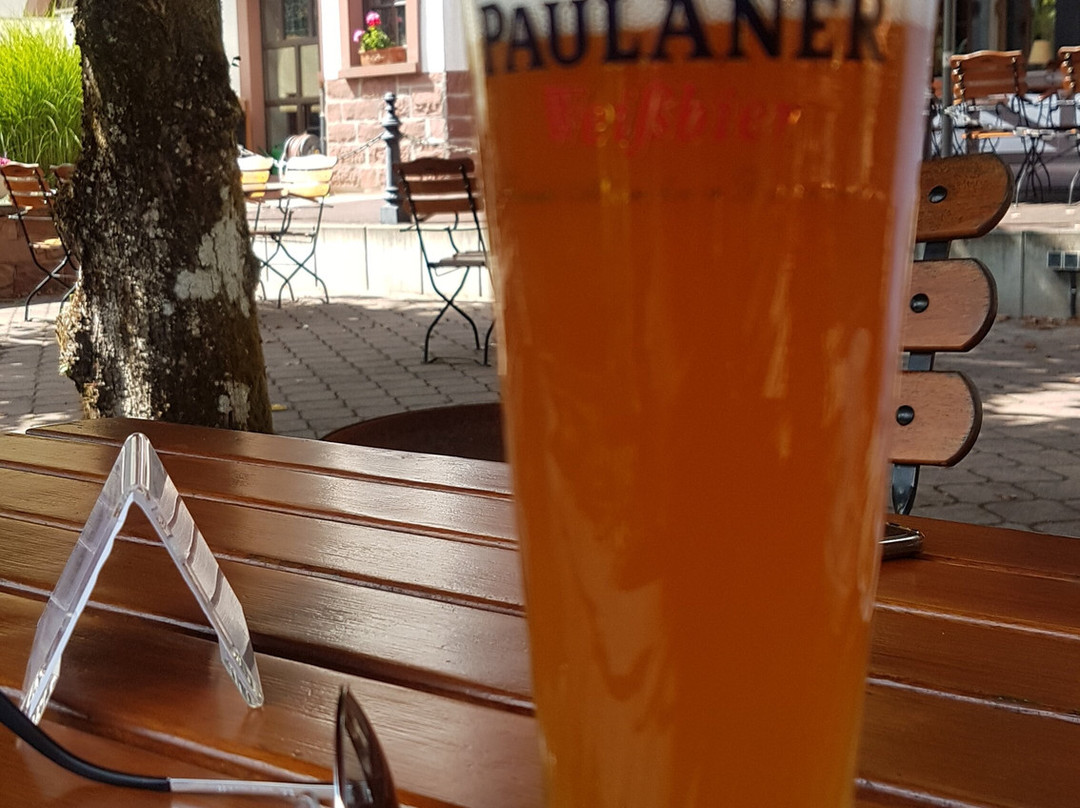 Schlosshotel Mespelbrunn主图