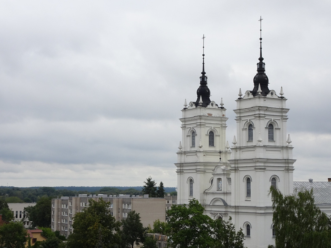 Roman Catholic church of the Blessed Virgin Mary-Daugavpils必去景点