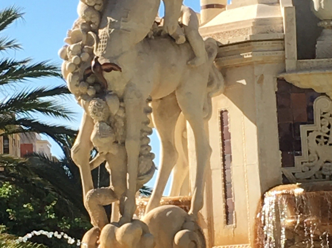 Plaza de Los Luceros景点图片