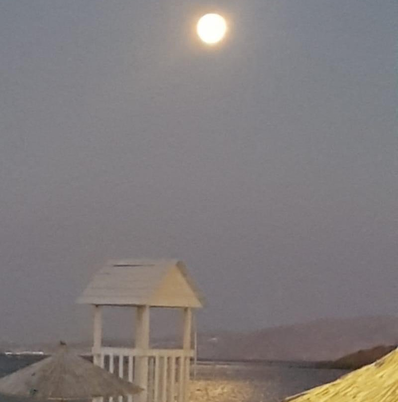 Tinos Beach Hotel主图