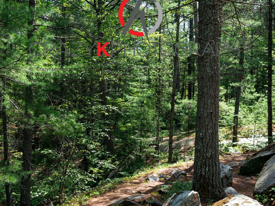 French River Provincial Park-Northeastern Ontario必去景点