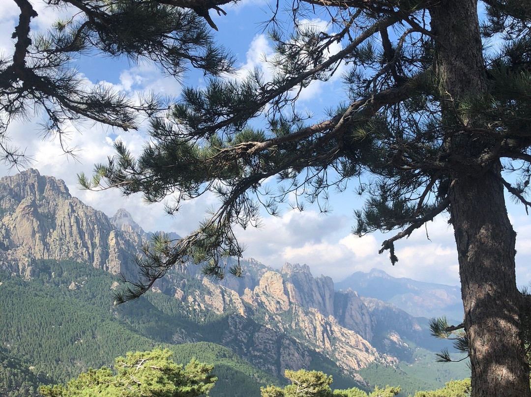 Alte Cime景点图片