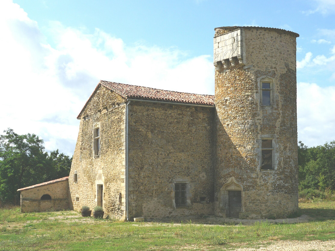 Chateau de Chamousseau景点图片