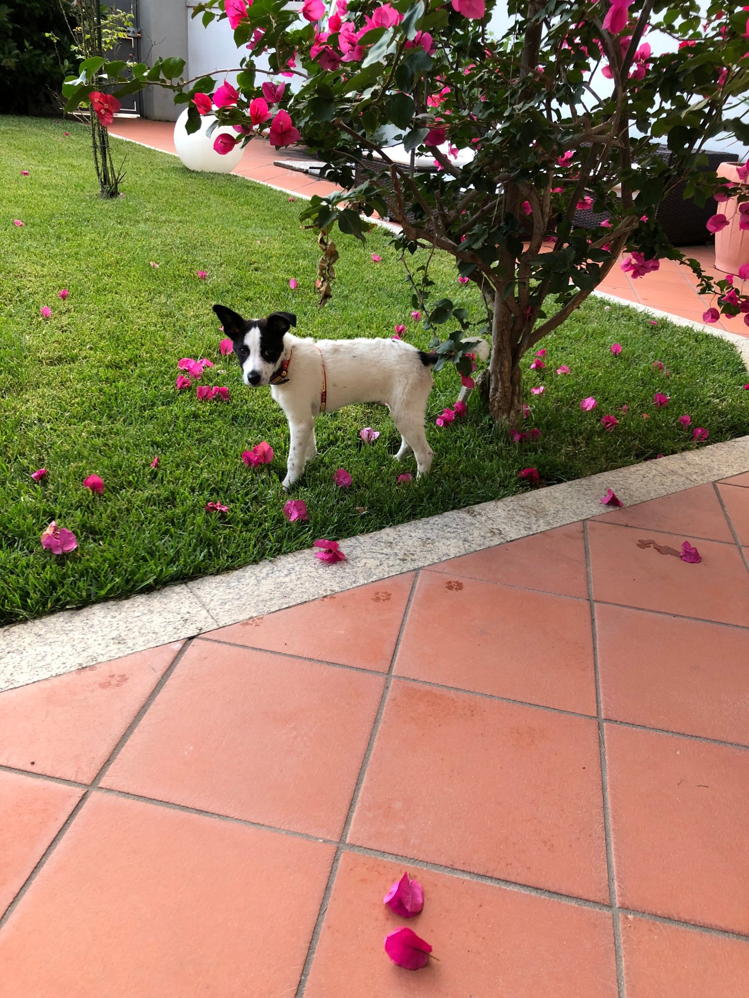 City Garden Guest House-portrait