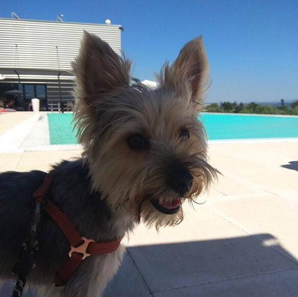 Garca Real Hotel & Spa主图