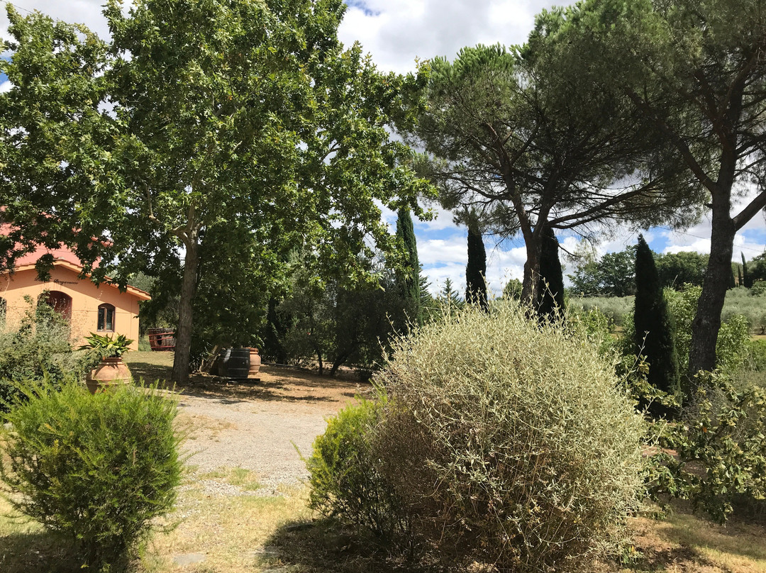 Podere Borgaruccio主图