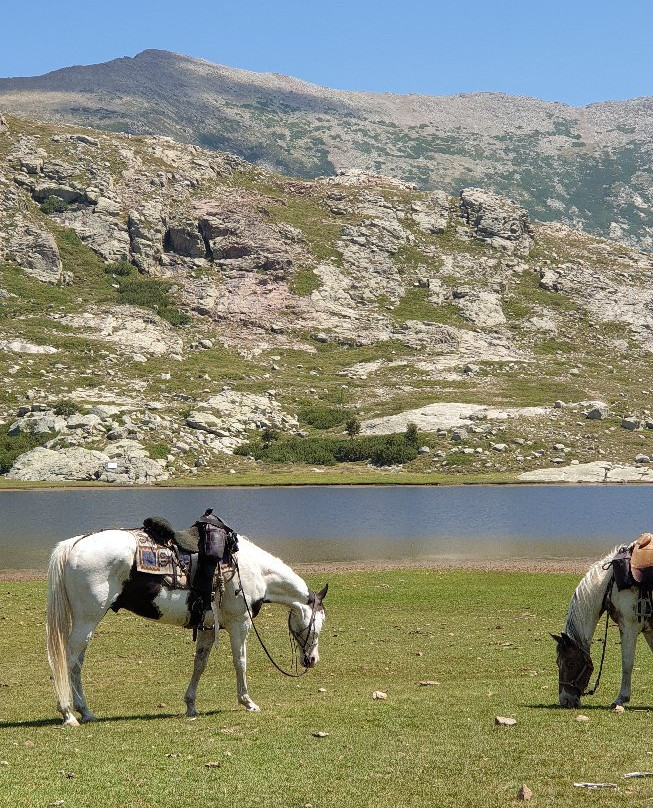 Ranch u Niolu a Cavallu景点图片