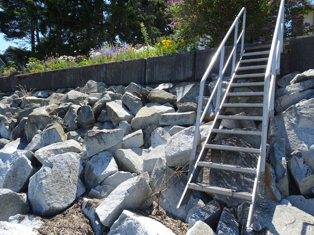 Bella's Beachfront B&B主图