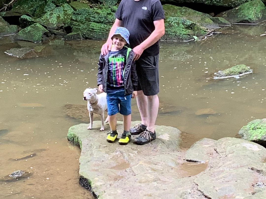 Plessey Woods Country Park-Bedlington必去景点