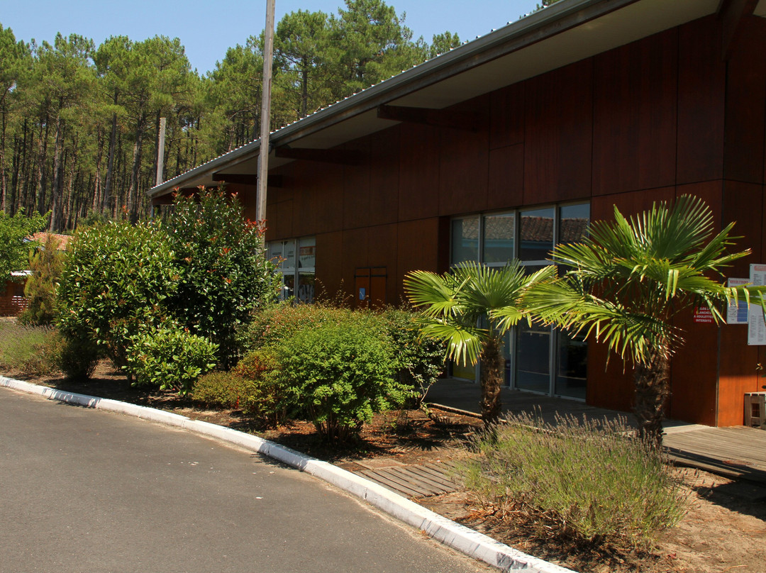 Le village des Pins d'Or主图