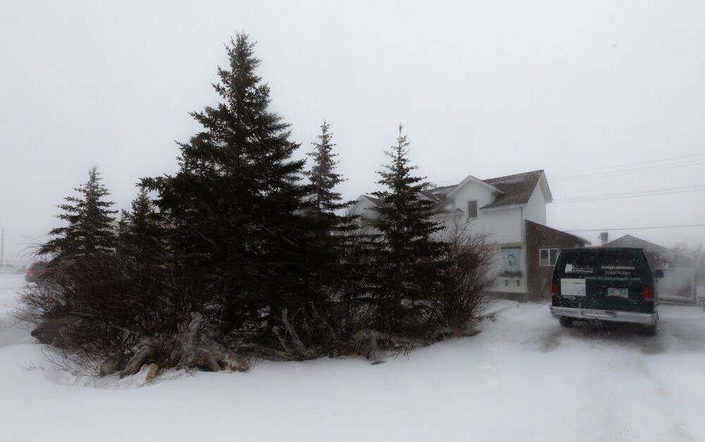 Bluesky Bed & Sled主图