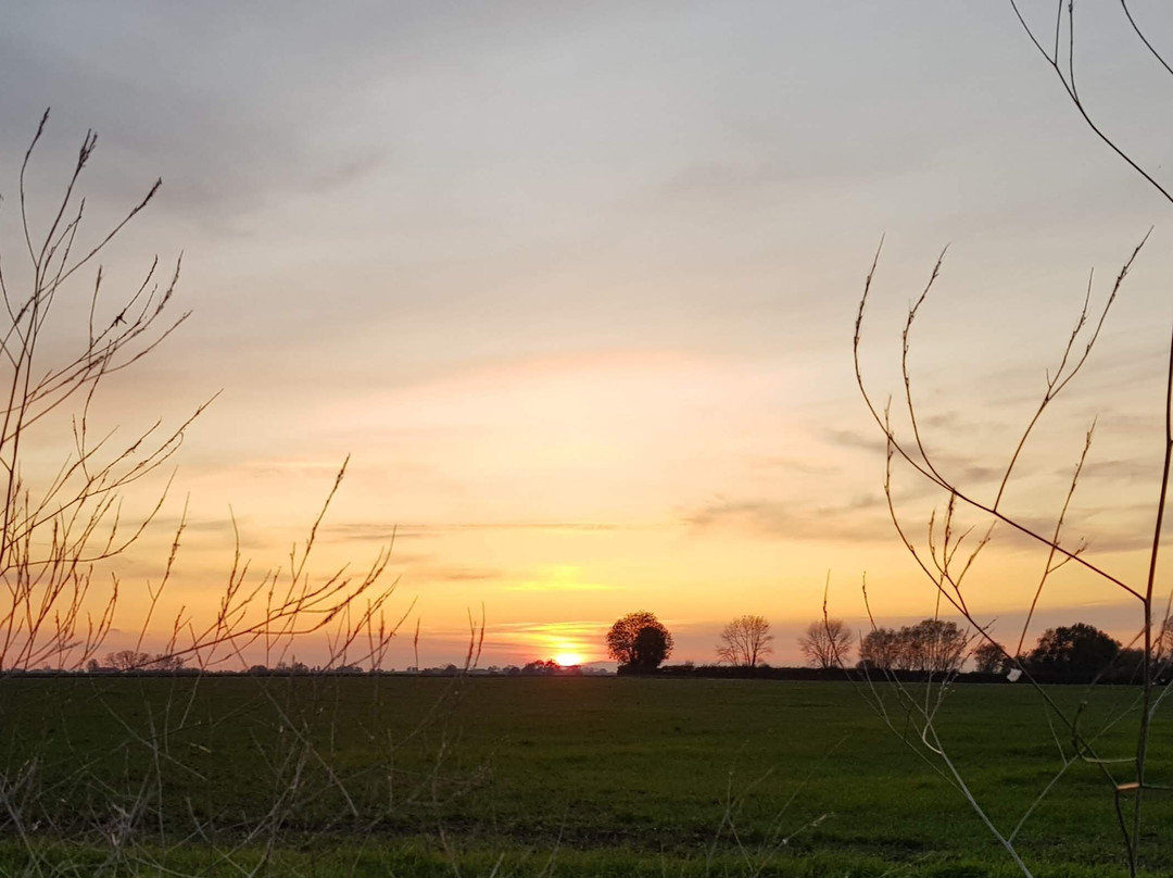 Au Soleil Vert主图