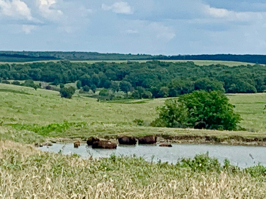 Tallgrass Prairie Preserve景点图片