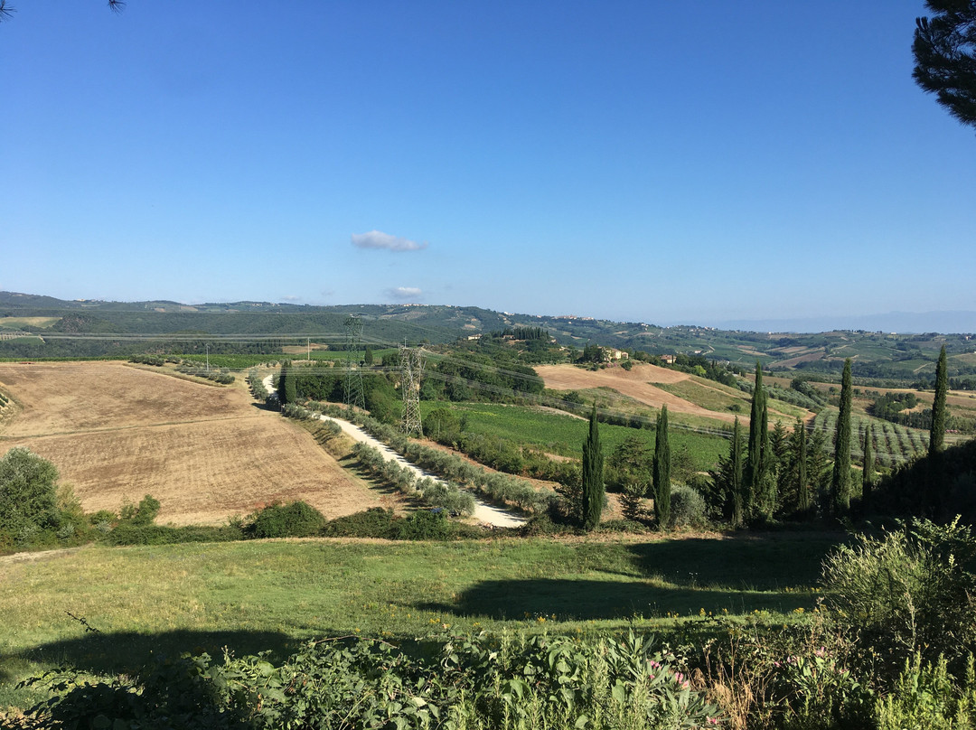 Podere San Luigi主图