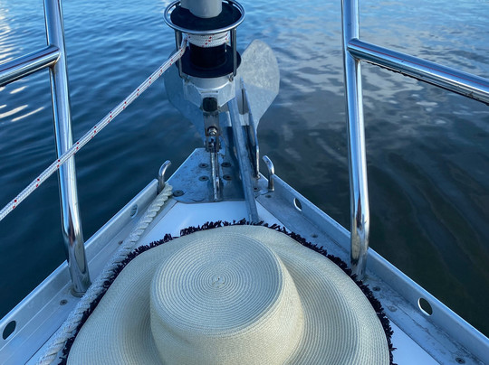 Alex’s Sailing Dream-棕榈海岸必去景点