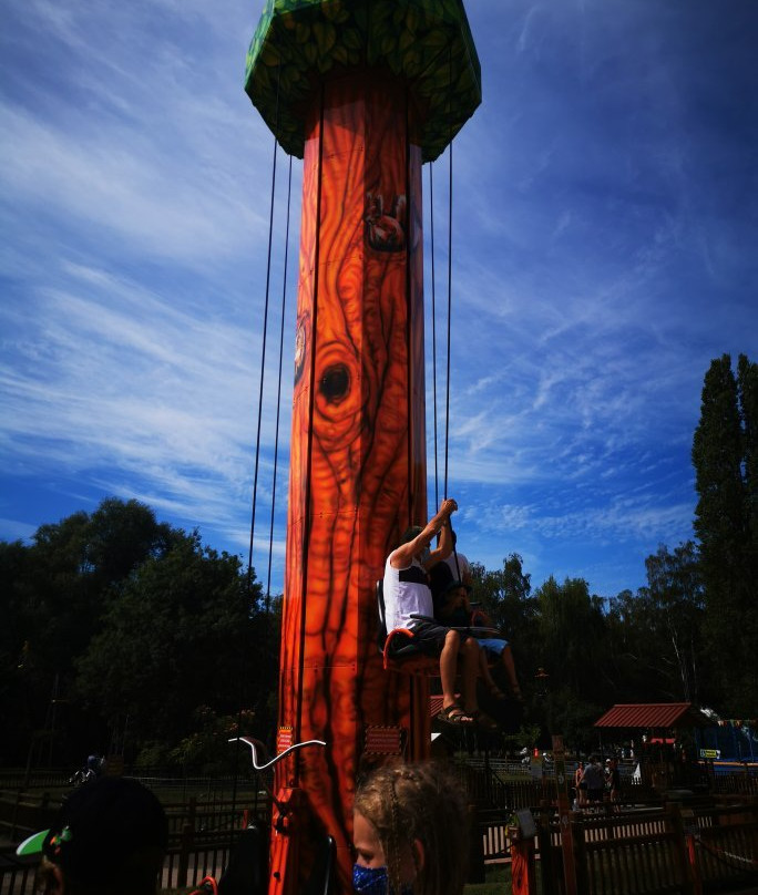 Parc de la Vallée景点图片