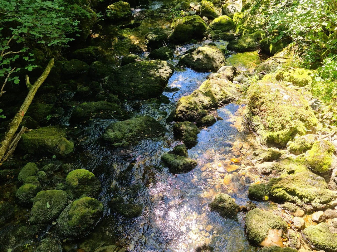 Source de L'allondon-Echenevex必去景点