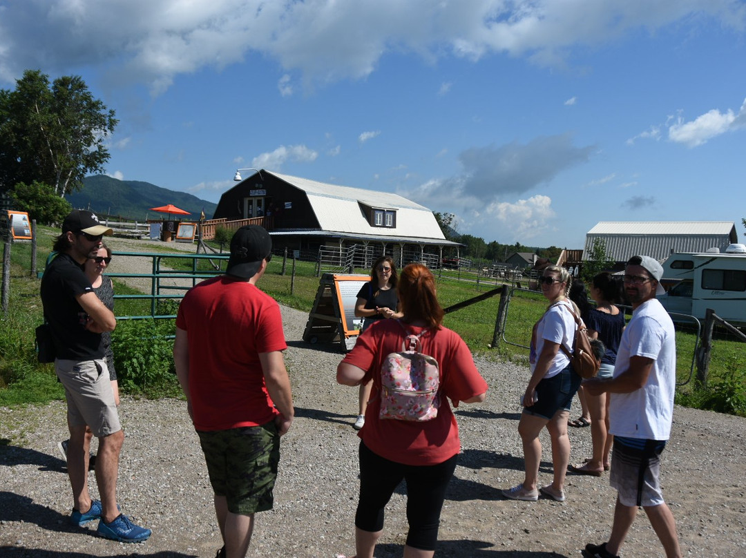 Zofa Excursions-魁北克市必去景点