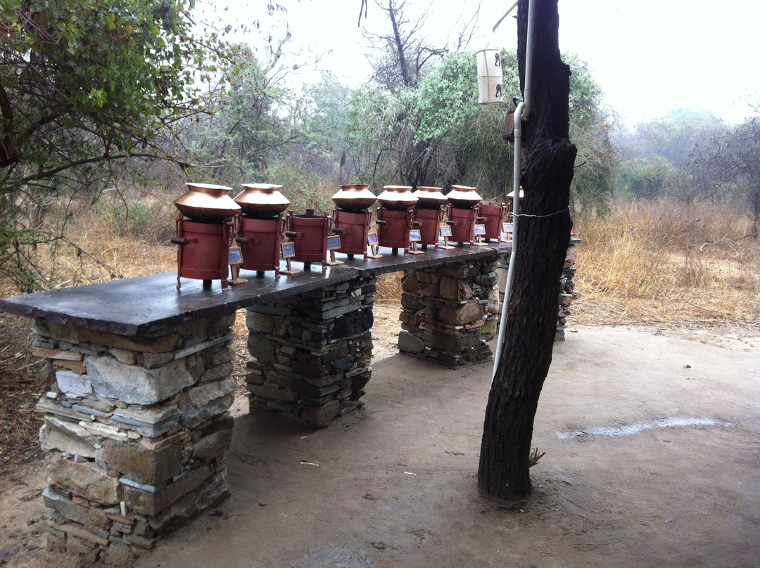 Jaipur Walk景点图片