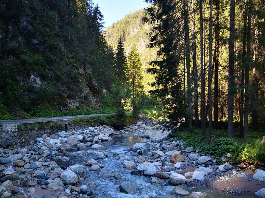 Zugenschlucht-Davos Wiesen必去景点