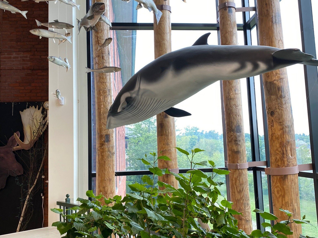 Maine Visitor Information Center-Calais必去景点