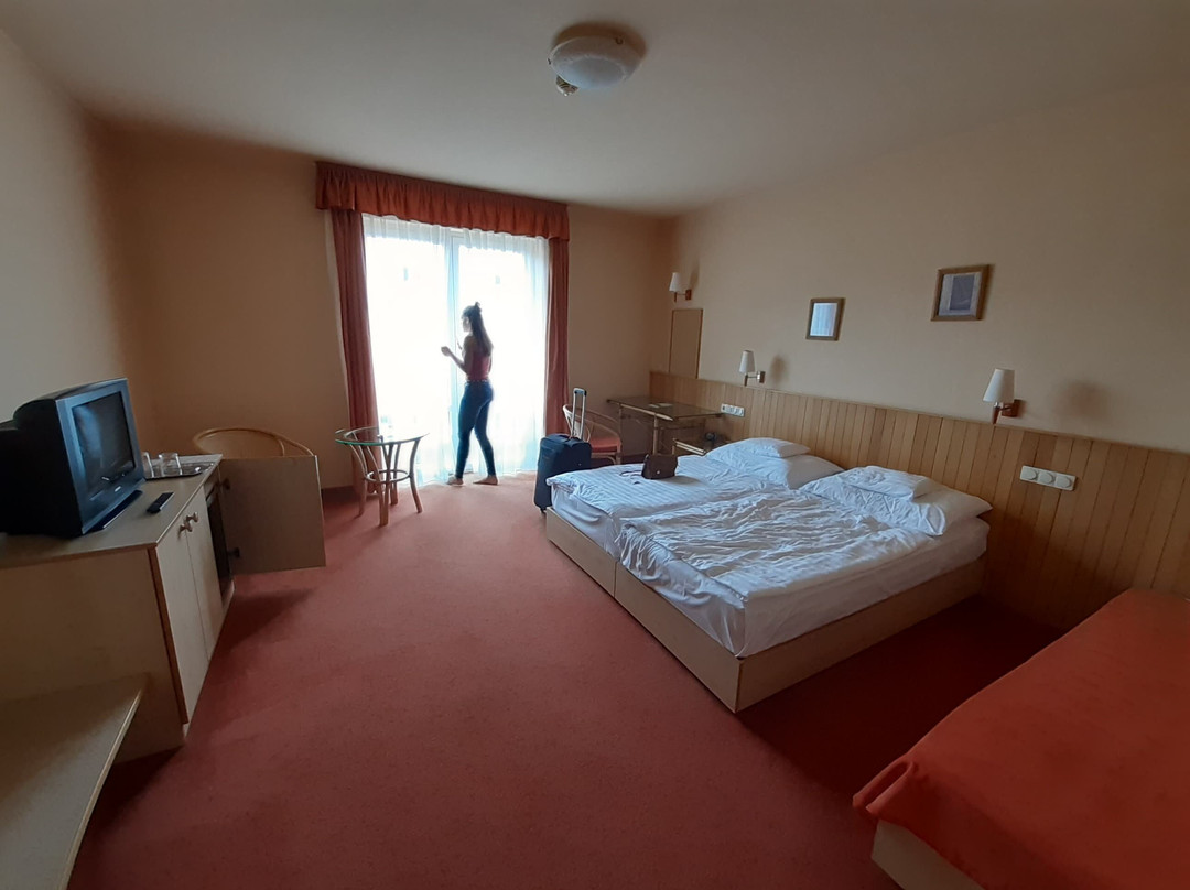 Termalhotel Martfu主图