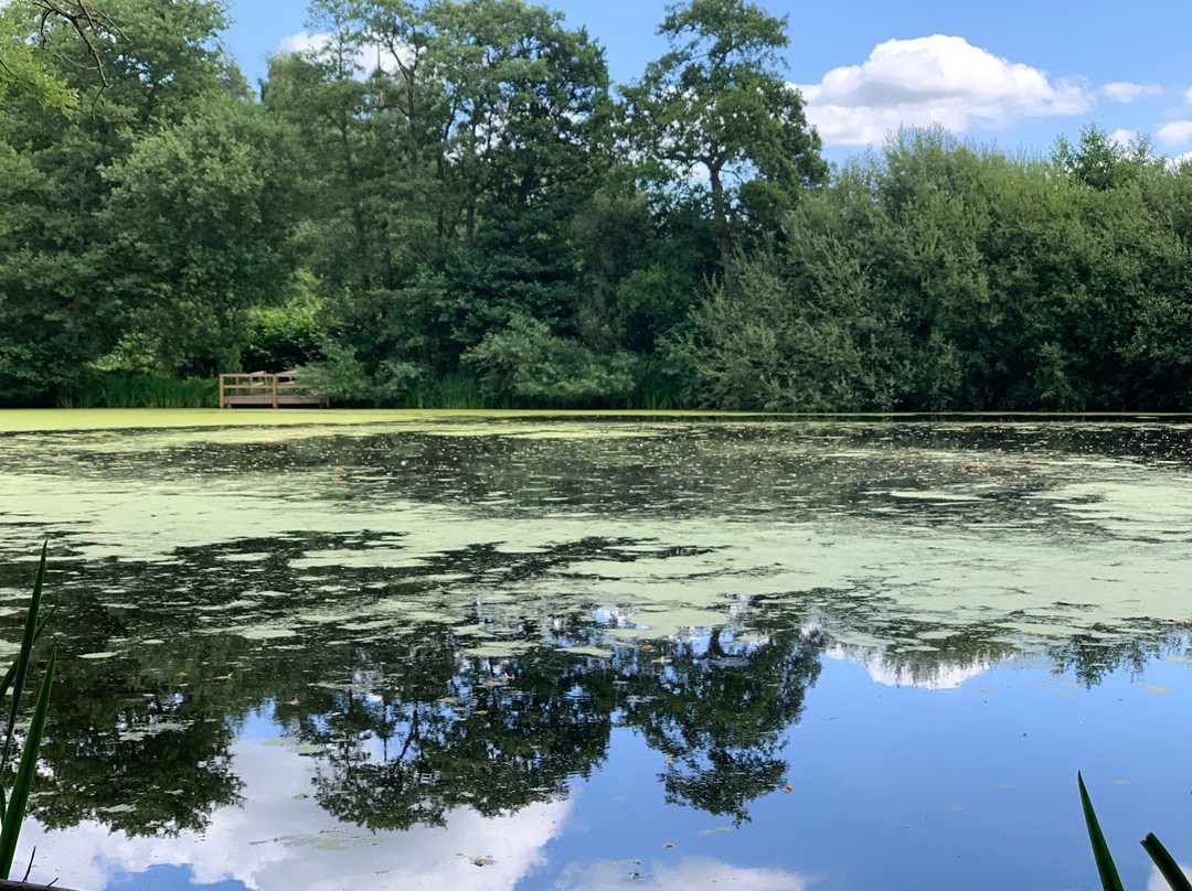 Pendeford Mill Nature Reserve景点图片