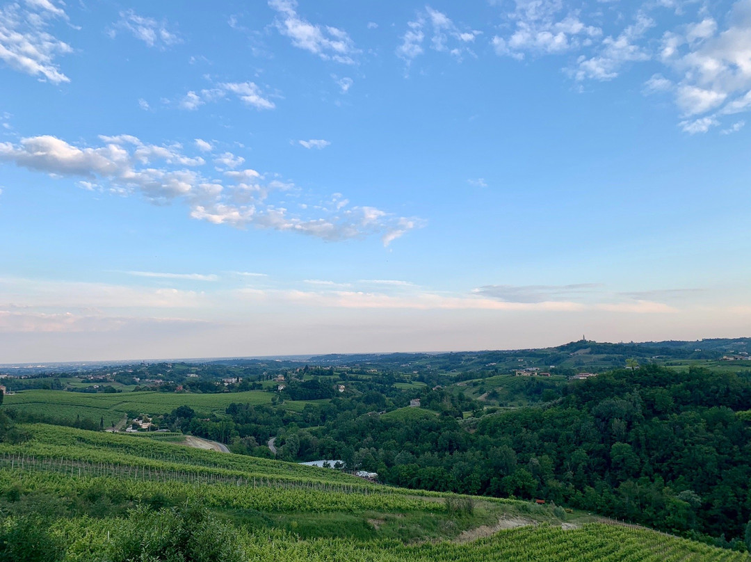 Agriturismo Le Colline Cozzuolo主图