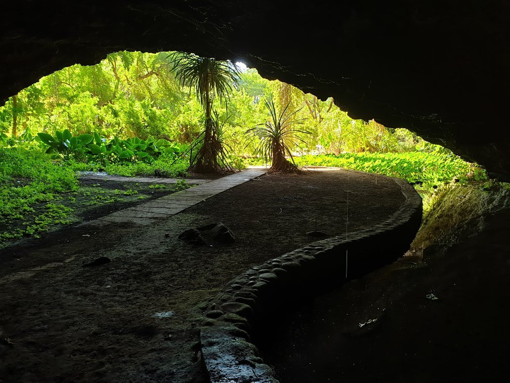 Grotte des Premiers Français景点图片