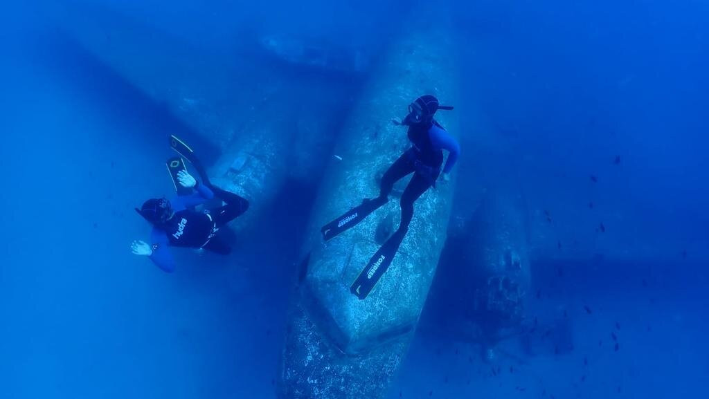 Life Aquatic Freediving and Yoga School景点图片