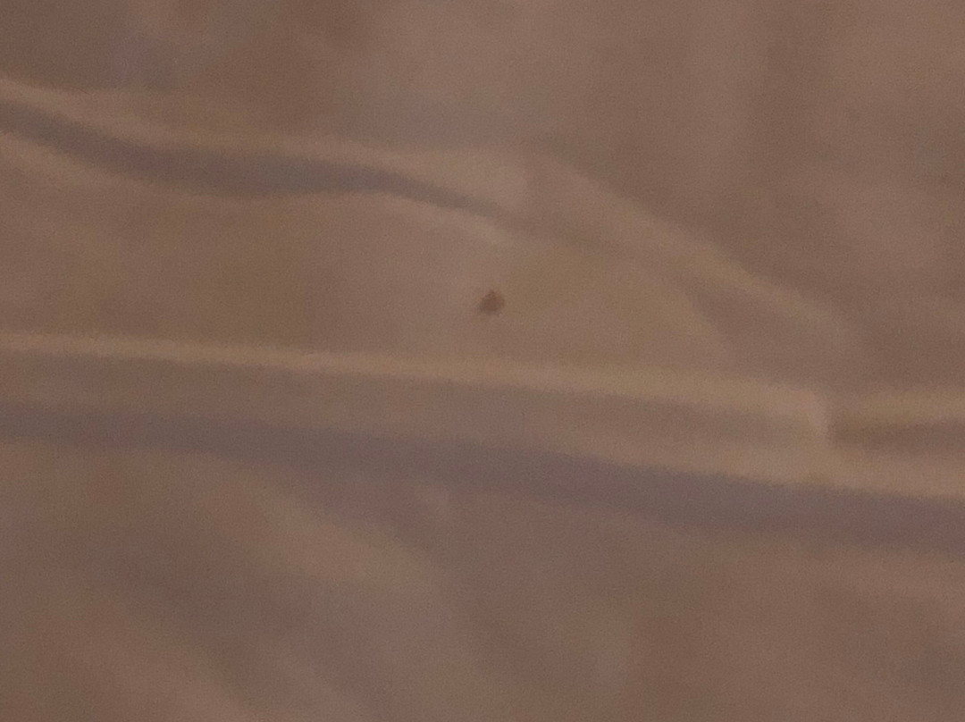 Fairfield by Marriott Inn & Suites Columbus Polaris主图