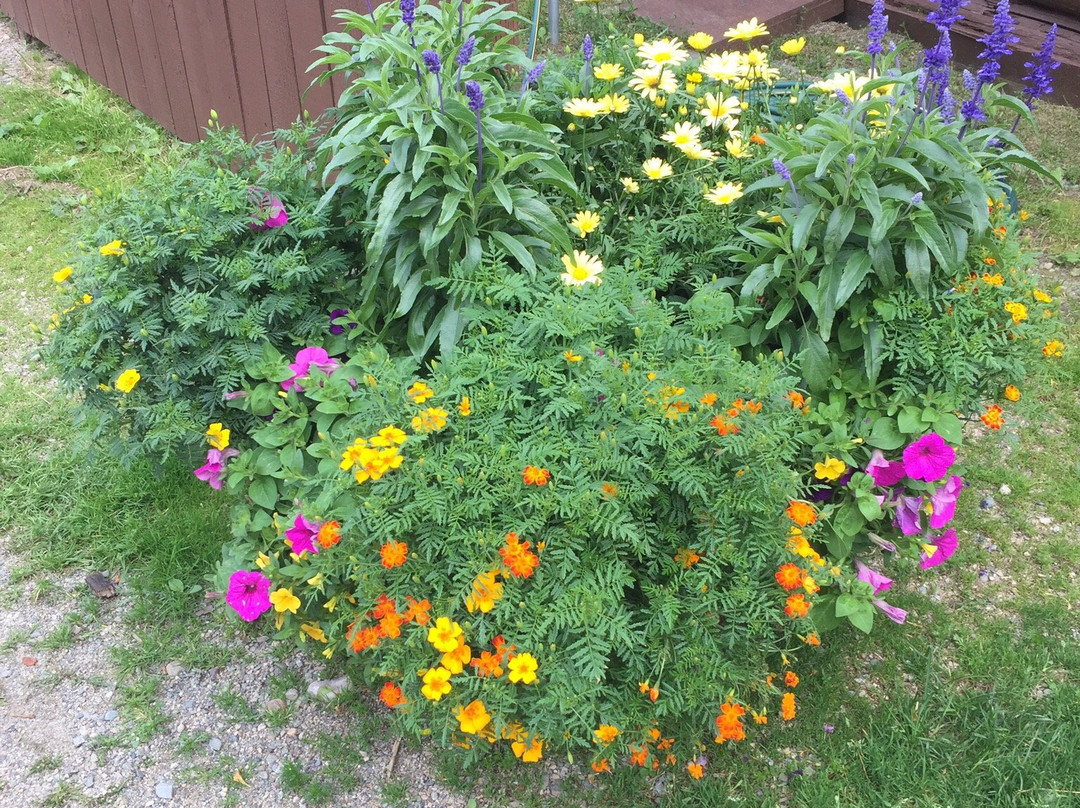 Nordman旅游攻略图片