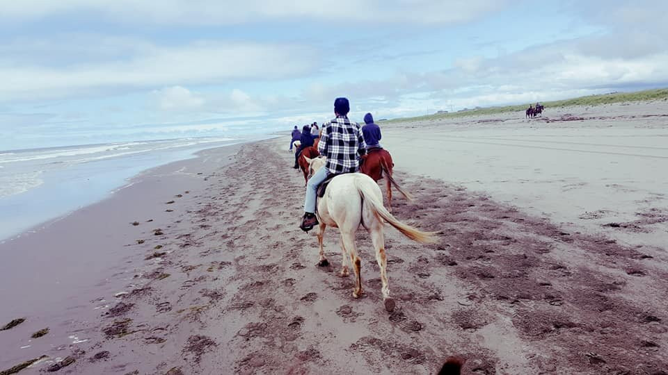 West Coast Horse Rides-长滩必去景点