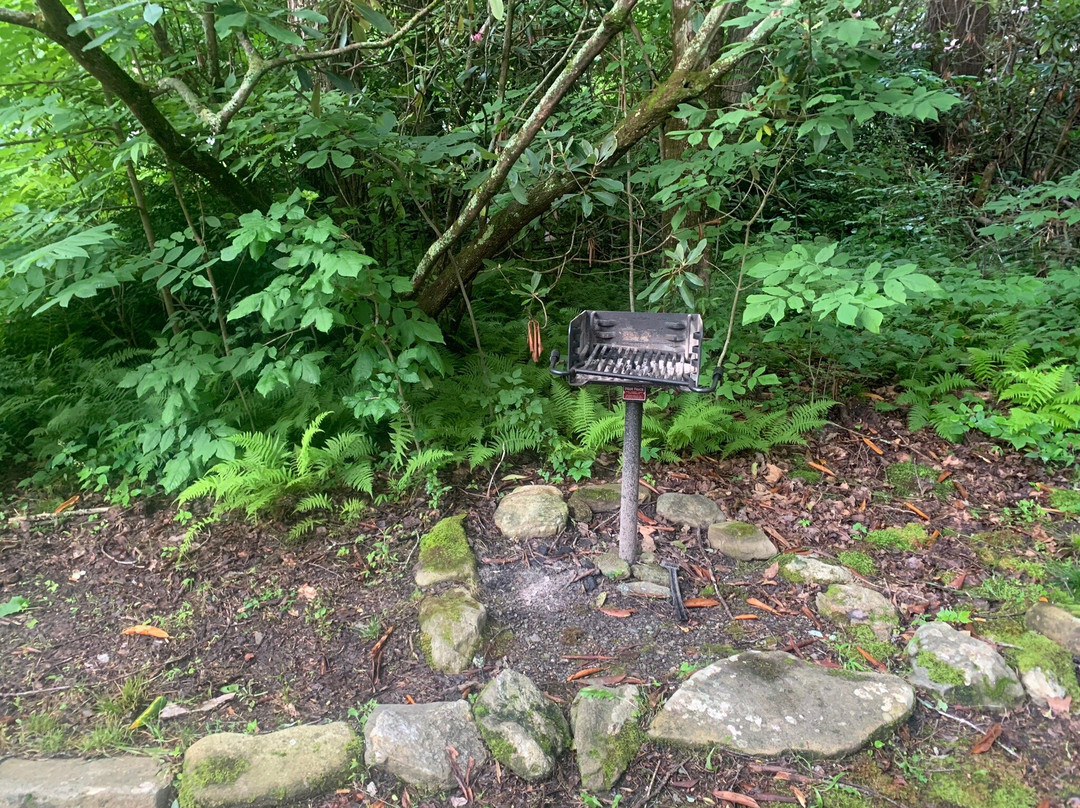 Twinbrook Resort主图