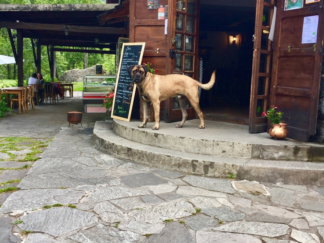 Chalet Hotel d'Ailefroide主图