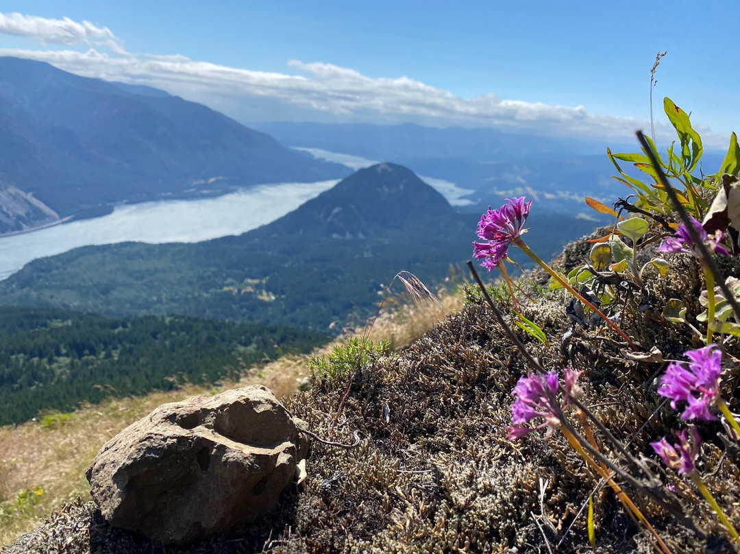 Dog Mountain Trail景点图片