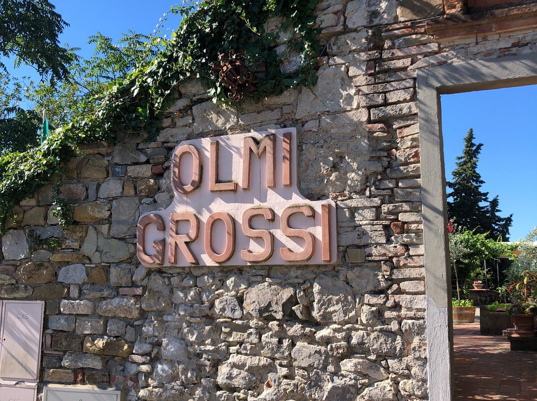 Agriturismo Olmi Grossi主图