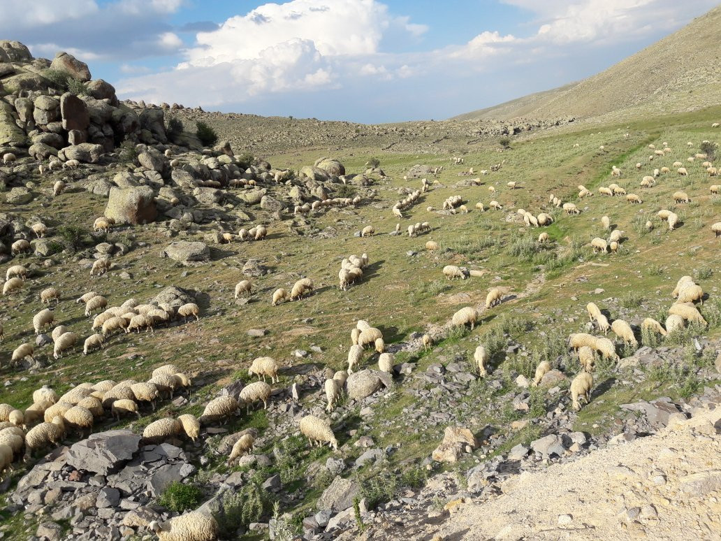 Niğde Kalesi景点图片