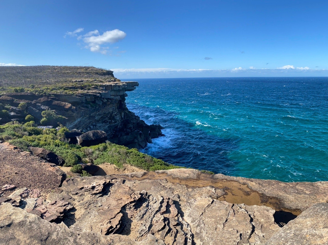 Coast Walk-Royal National Park必去景点