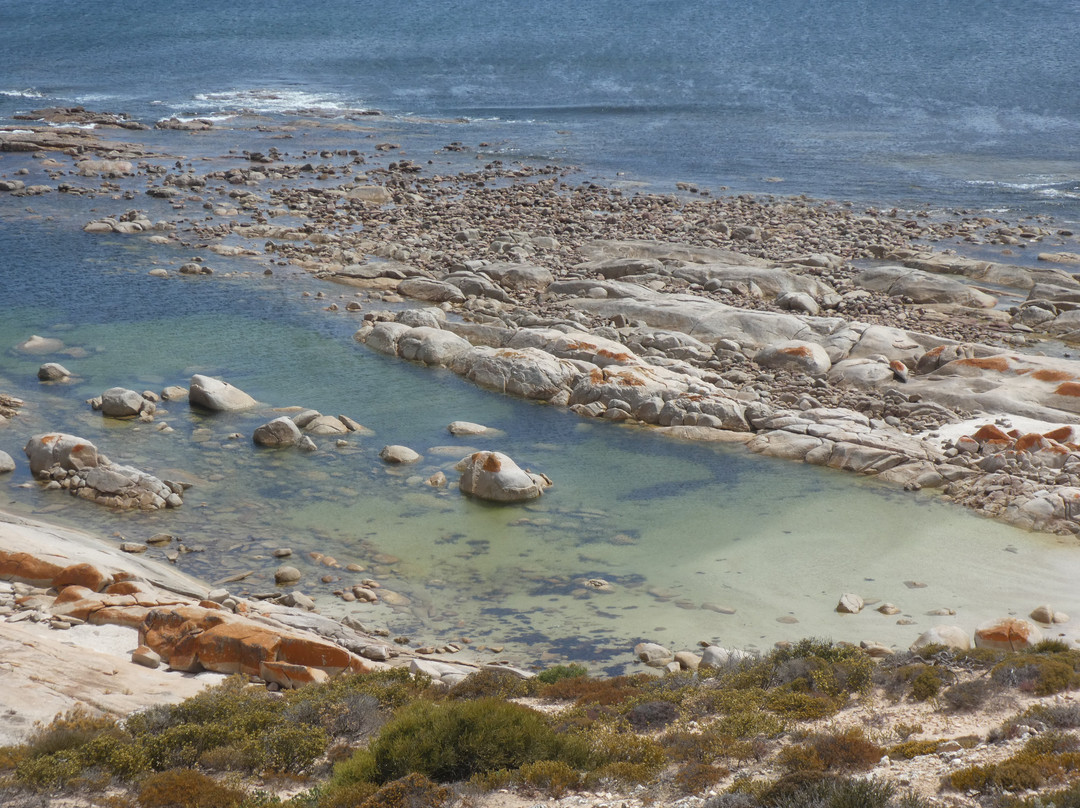 Westall Way Loop Coastal Scenic Drive-Streaky Bay必去景点