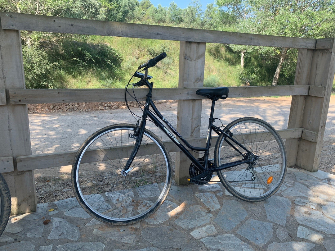 Valde Vivo-Valderrobres必去景点