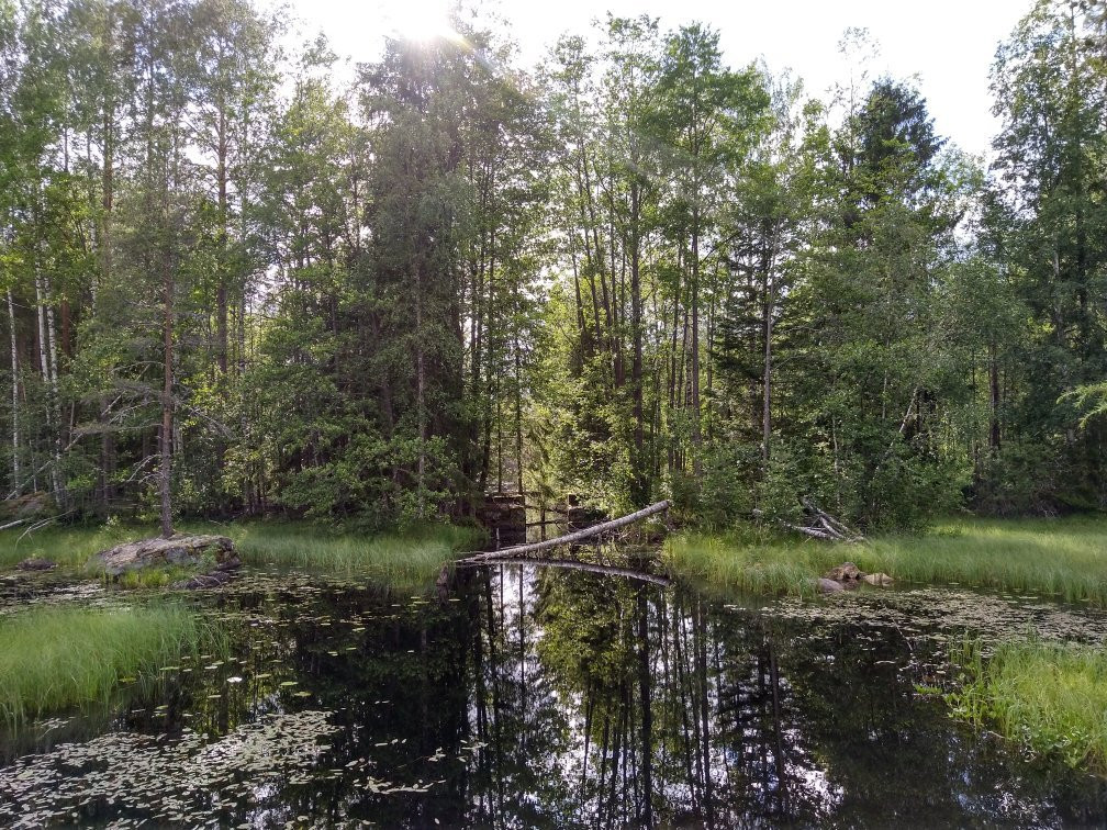 Glaskogens Naturreservat-Arvika必去景点