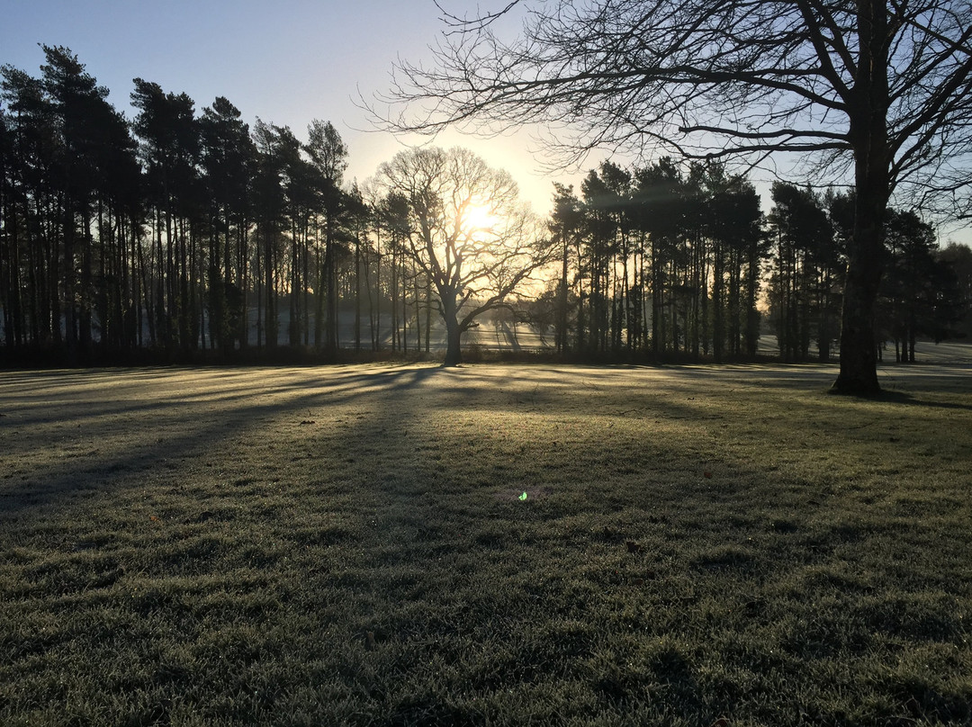 Bramshaw Golf Club景点图片