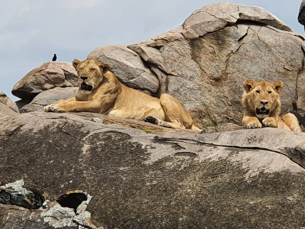 MORANI TOURS & SAFARIS LIMITED-阿鲁沙必去景点